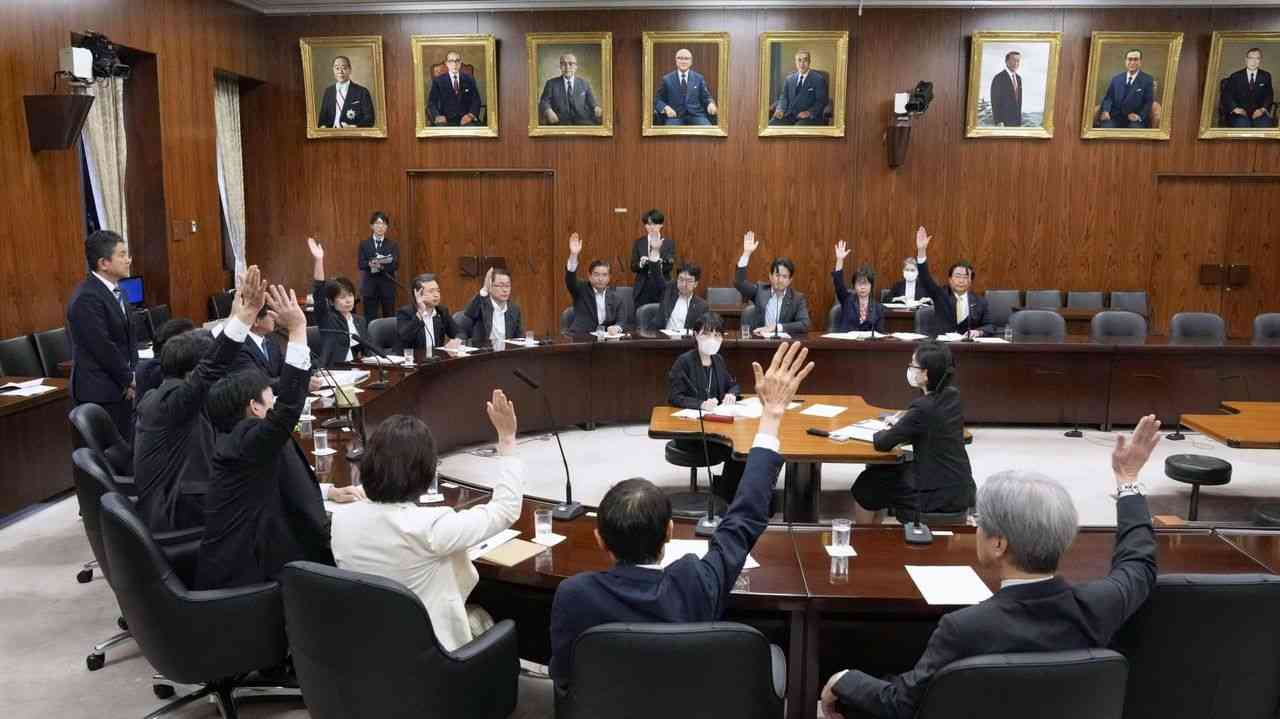 自民裏金 29人に責任と参院政倫審 - Yahoo!ニュース
