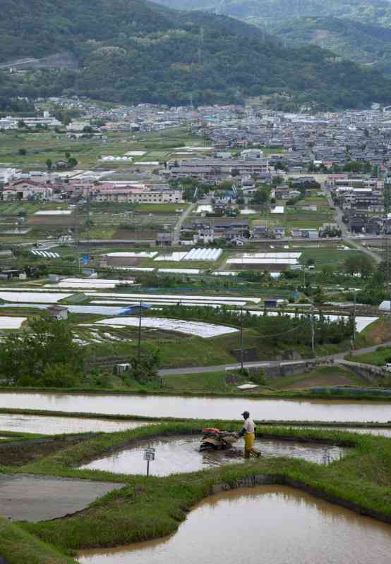 与党、中山間地「直接支払」の拡充調整　農業継続支援　参院選公約に（毎日新聞） - Yahoo!ニュース