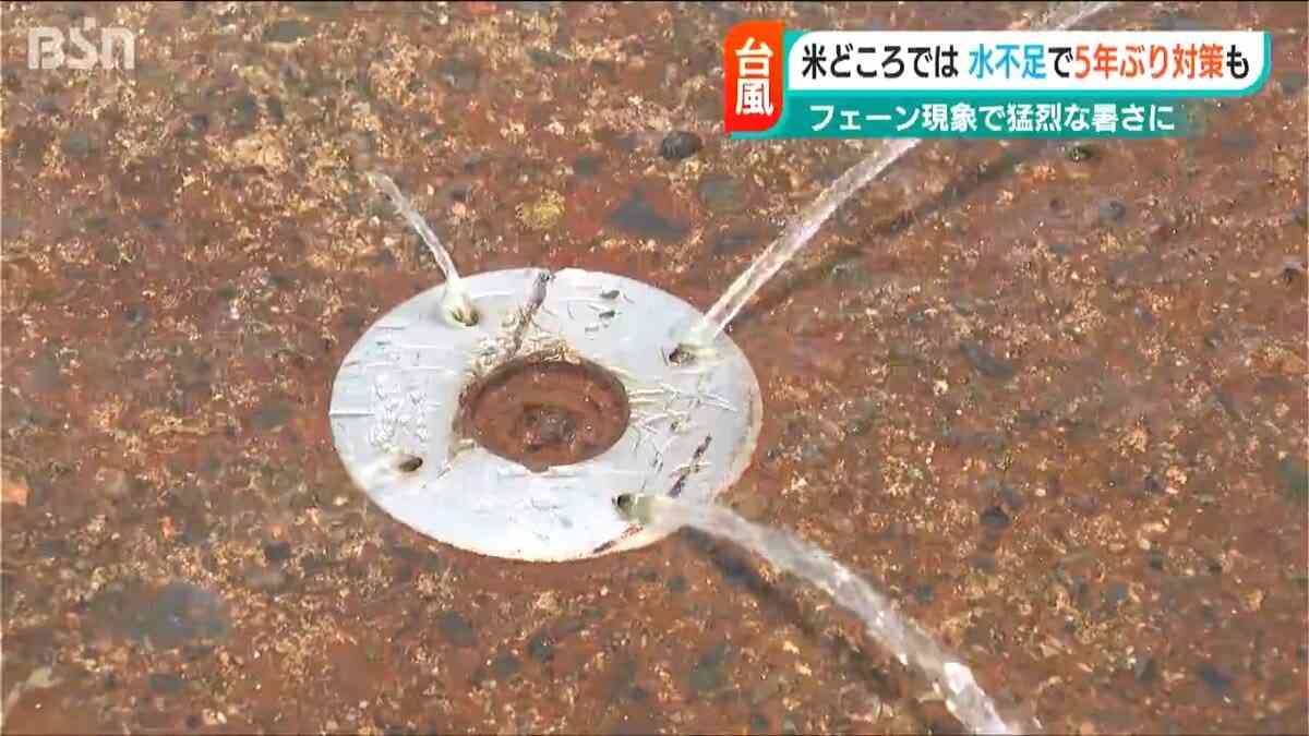「ずっと水が足りない」コメ作りの救世主は消雪パイプ？雪とかす地下水活用で水不足解消へ　新潟・南魚沼市 | 新潟のニュース・天気｜BSN NEWS｜BSN新潟放送 (1ページ)