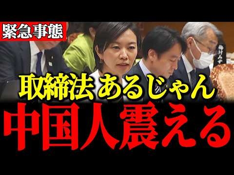 中国人に土地を買わせない法律が既にありました・・日本にいる迷惑中国人を一掃できるかもしれません【国会・梅村みずほ・岩屋外務大臣】