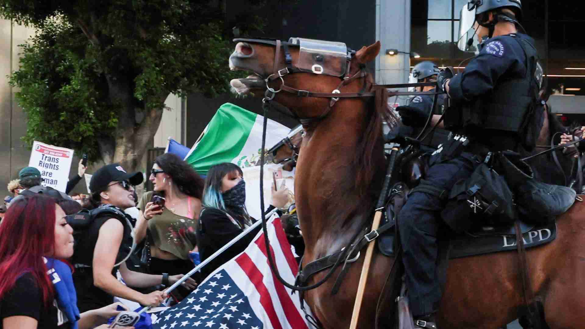 米LA“不法移民取り締まり抗議デモ”発火点にして不法移民に最も恐れられるICEとは何か #エキスパートトピ（六辻彰二） - エキスパート - Yahoo!ニュース