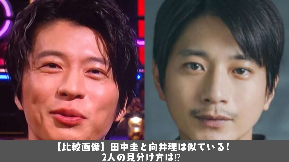 【比較画像】田中圭と向井理は似ている!2人の見分け方は⁉  |  トクトク情報サイト