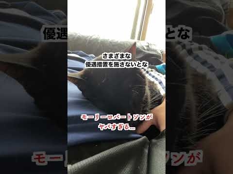 【激怒】モーリーロバートソンの本性がヤバい...