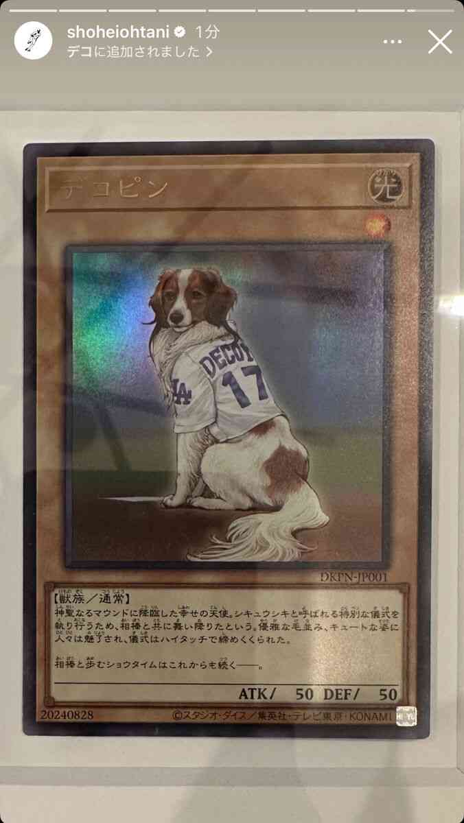 大谷翔平の愛犬・デコピンが遊戯王カードに！？「神聖なるマウンドに降臨した幸せの天使」 - スポーツ報知