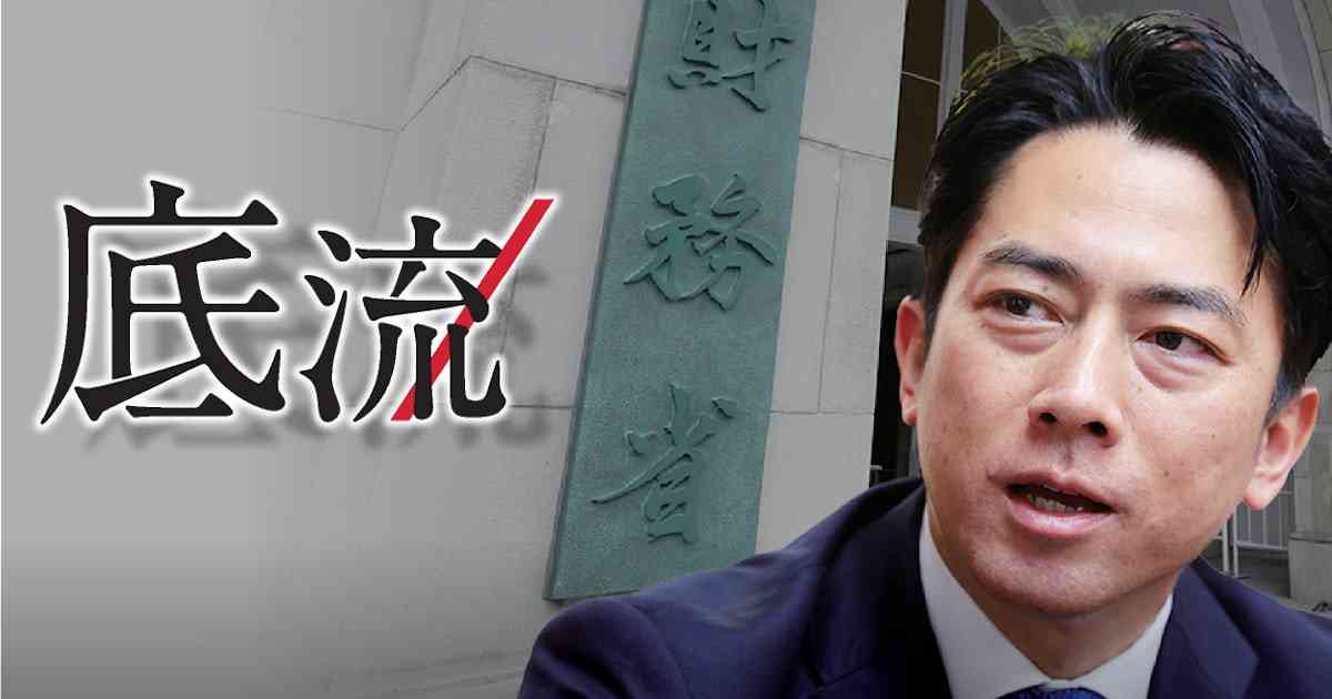 小泉進次郎農相のスピード感、陰に財務省の「田植え」　備蓄米の随意契約 - 日本経済新聞