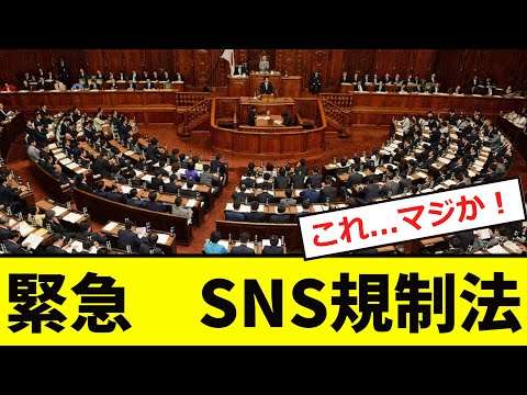 【緊急】SNS規制法案、「エグイ状態」に陥る！！