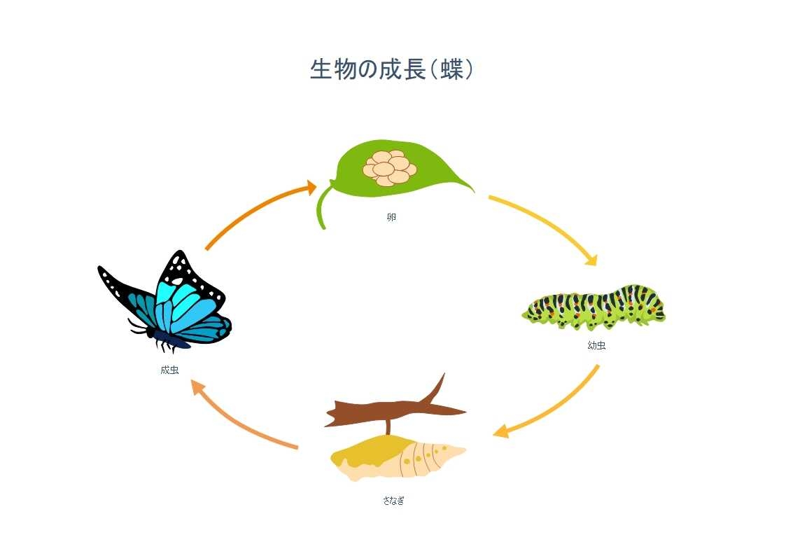 【教科】好きな生物用語