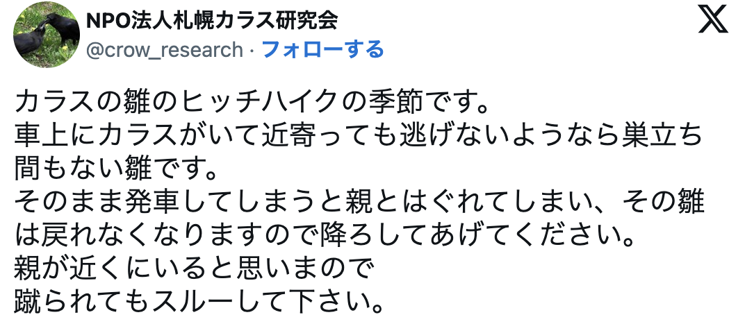 ボンネットの上に〝カラス〟実はとんでもなく〝悲しい事実〟があった「返信見てショックを受けた」「全然笑えない」コメント相次ぐ