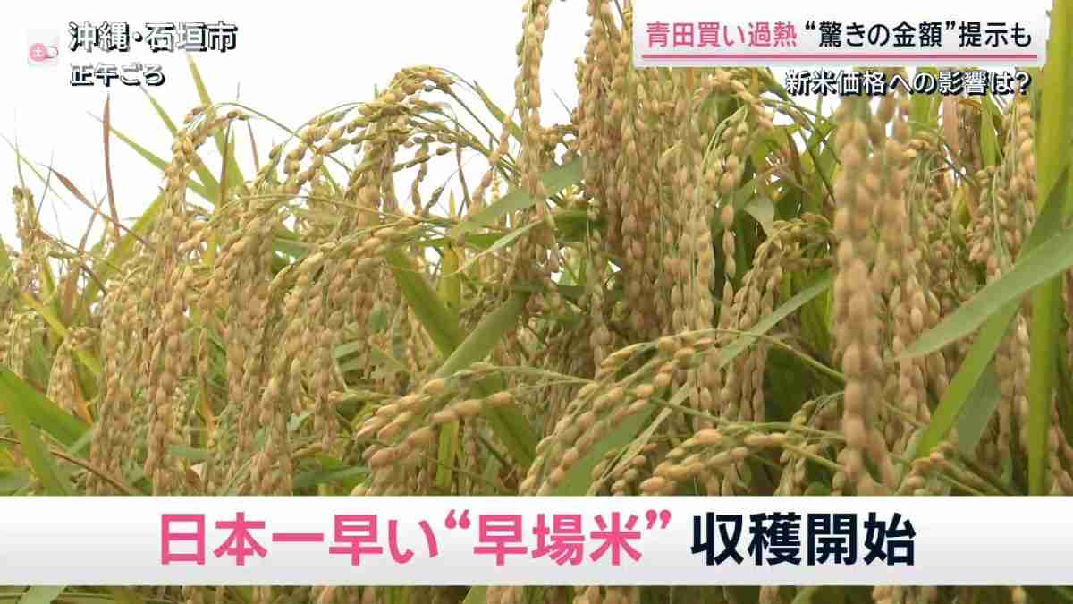 「え、いいの？」農家も驚いた提示額　日本一早い新米めぐり”争奪戦”