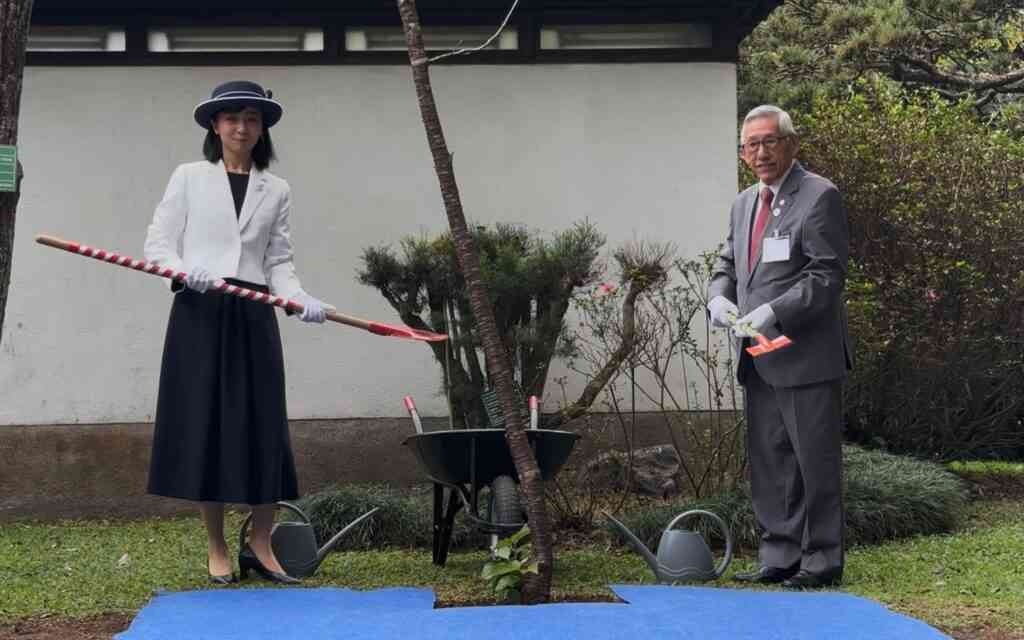 比較されがちなこと