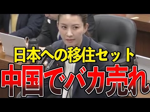 格安チケットで、続々と中国人が送り込まれています【国会中継/切り抜き】