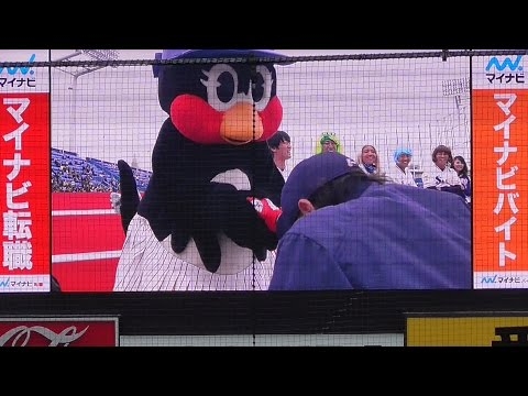 20161123 【ヤクルトファン感】つばみちゃん 憧れの#42坂口選手から告白され、つば九郎子に改名？