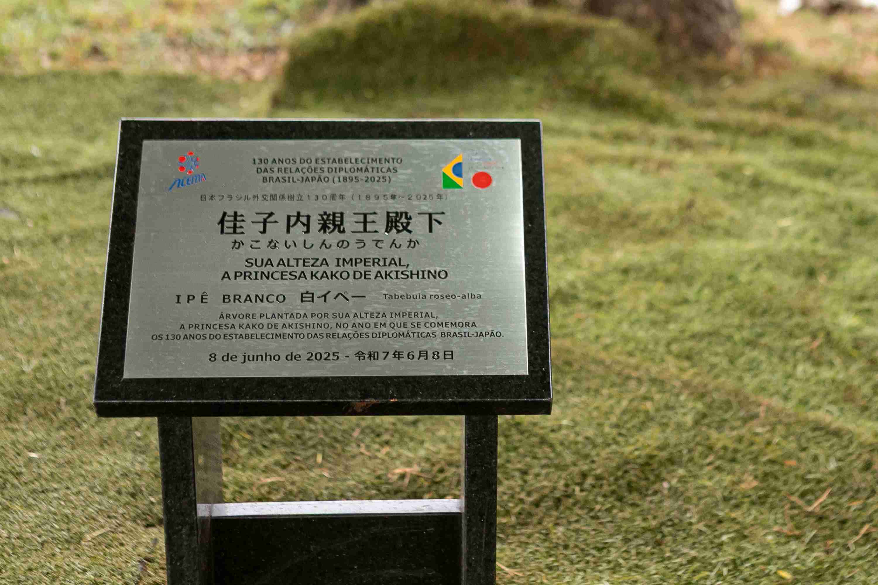 比較されがちなこと