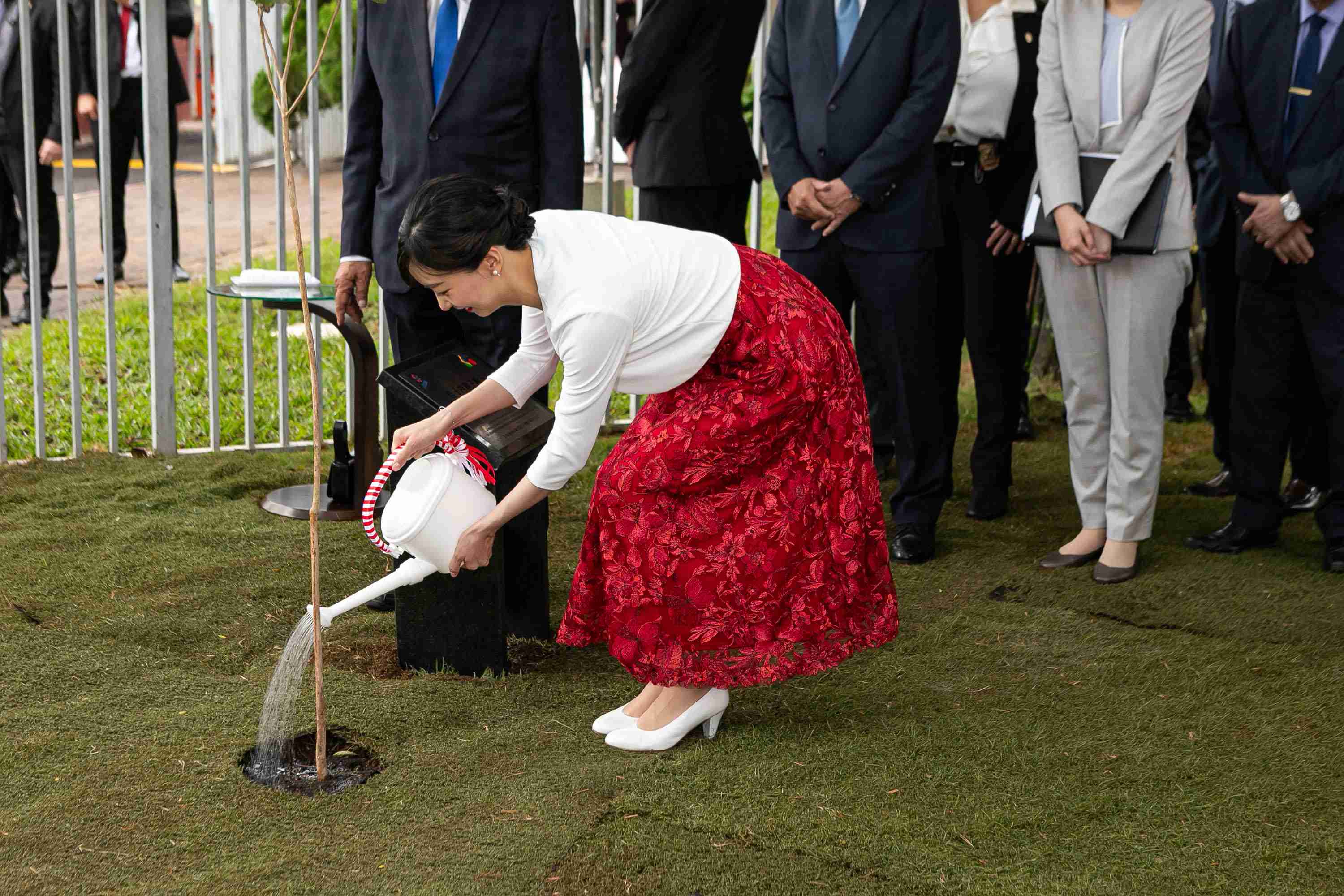 比較されがちなこと