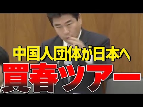 外国人によって日本人女性が危険にさらされています。【国会中継/切り抜き】