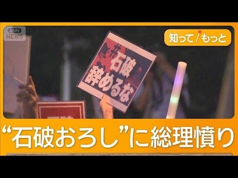「石破辞めるな」異例デモ　“退陣要求”議員に批判も　参院選敗北の責任は誰に？【知ってもっと】【グッド！モーニング】(2025年7月26日)