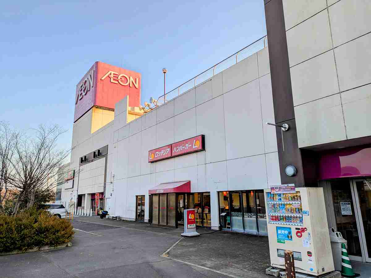「地方のファミリー層はイオンで休日を過ごす」は都市伝説…地方在住のネット編集者が明かす「都会人はフラペチーノ片手にショッピング」と同じくらいの“誤解” | デイリー新潮