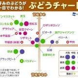 基本的人権は侵すことのできない永久の権利である、を削除しようとする恐ろしい法... | ガールズちゃんねる - Girls Channel -