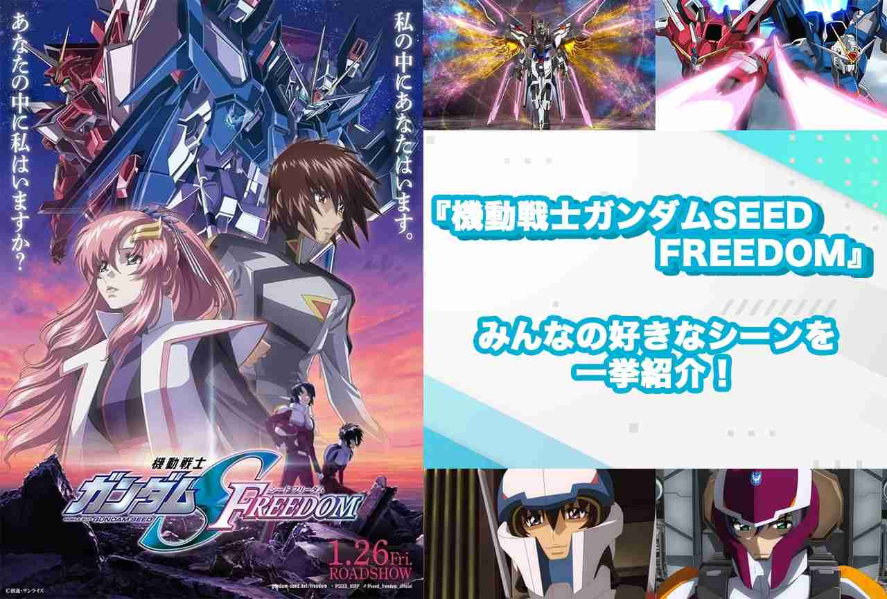 『機動戦士ガンダムSEED FREEDOM』みんなの好きなシーンまとめ【結果発表】 | アニメイトタイムズ