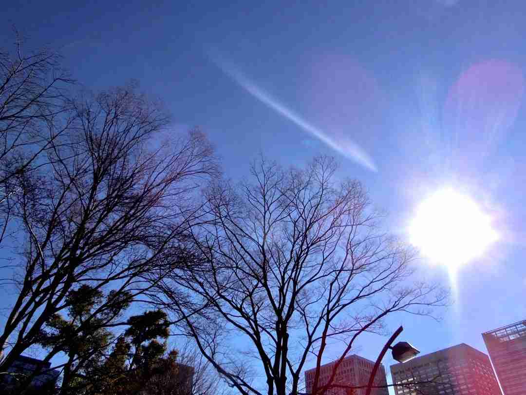 『誰が』『何した』『何された』 | 細川茂樹オフィシャルブログ Powered by Ameba