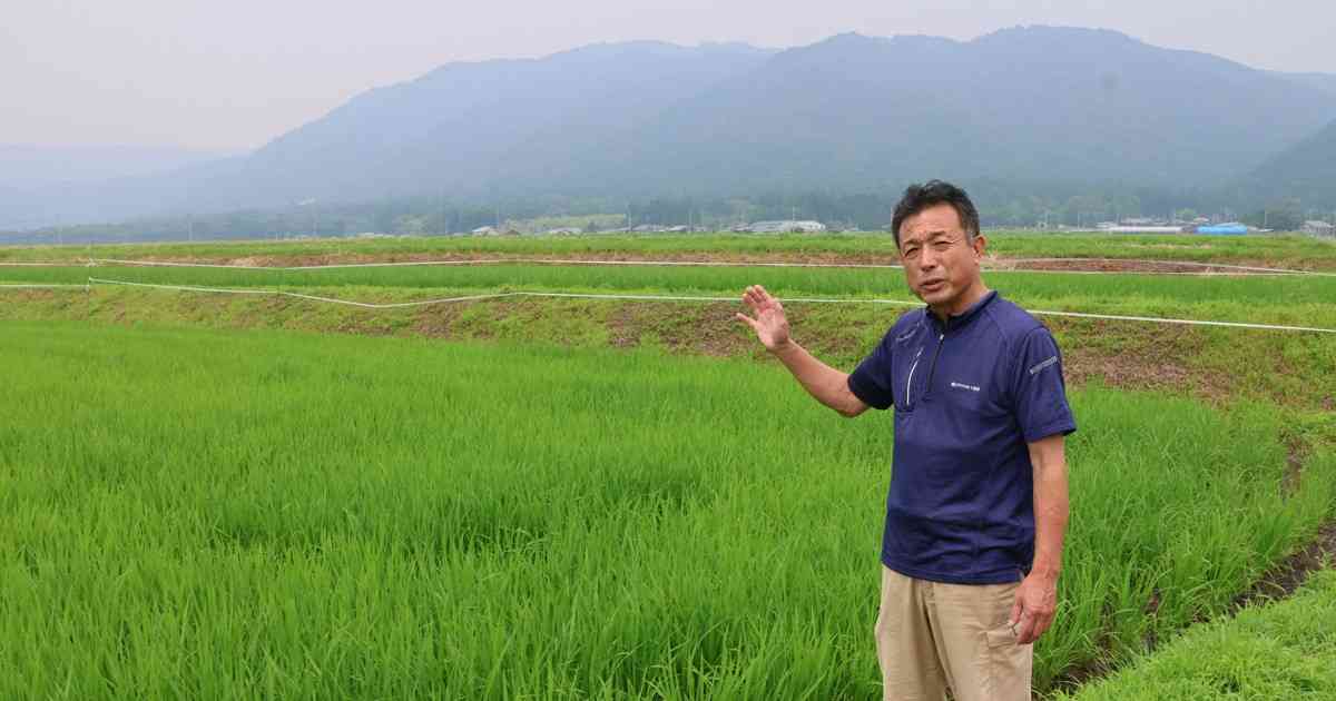 備蓄米「心折る価格」　減反から一転の増産政策、コメ農家の嘆き | 毎日新聞