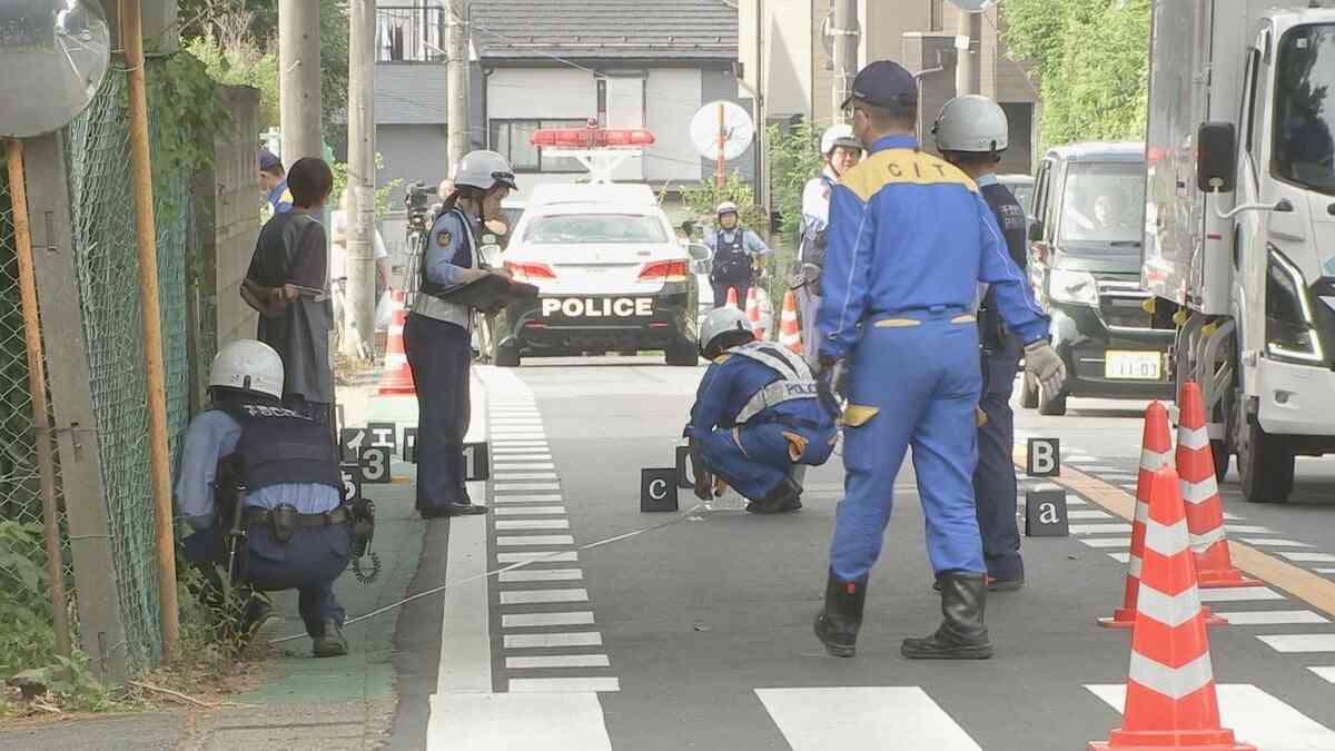「周りを見て何もなかったから行った」千葉・松戸市の死亡ひき逃げ事件　運送業の男（44）を逮捕　容疑一部否認 | TBS NEWS DIG (1ページ)