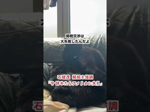 【激怒】石破茂が続投を強調「いま辞めたらアメリカに失礼だ」