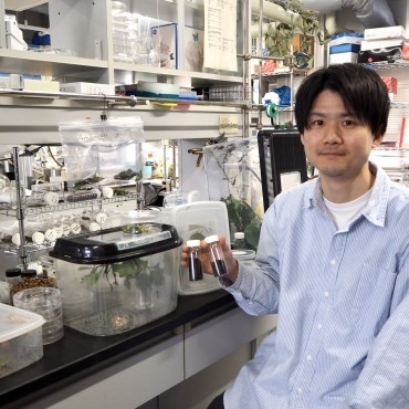   え、イモムシの糞がお茶になるの!? 京都大学農学研究科で『虫秘茶』を試飲してきた | ほとんど0円大学