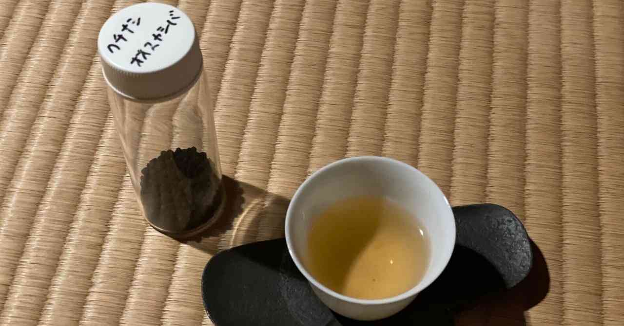 虫糞が、絶品茶葉になるって知ってました？芋虫たちは、寡黙なる茶匠だった｜沢田眉香子