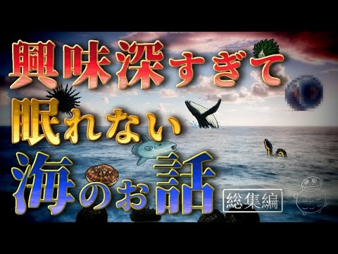 【衝撃】興味深すぎて眠れない海の話【総集編】