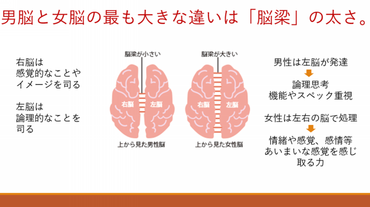 「女性のあおり運転」はなぜ少ないのか？“加害する側の心理”を元教習所指導員が分析。「論理的に解決しようとする男性と比べて」