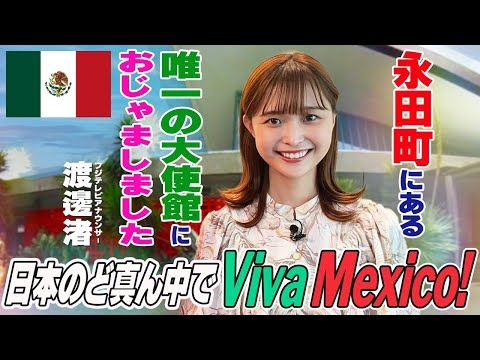 【渡邊渚】永田町に大自然⁉️とっても素敵な女性大使にご案内頂きました！