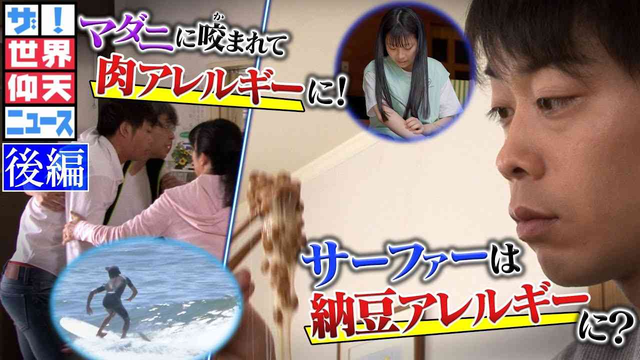 茨城のネコでSFTS陽性、関東で初か　マダニ媒介感染症リスク拡大