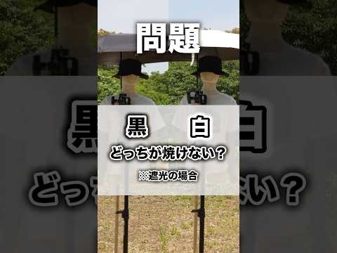 【遮光日傘】黒と白どっちが焼けない？#日傘 #日焼け #日焼け対策