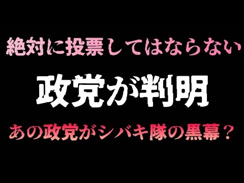 【参院選】シバキ隊が支持者に多数！あの政党には投票するな！LIVE配信ダイジェスト