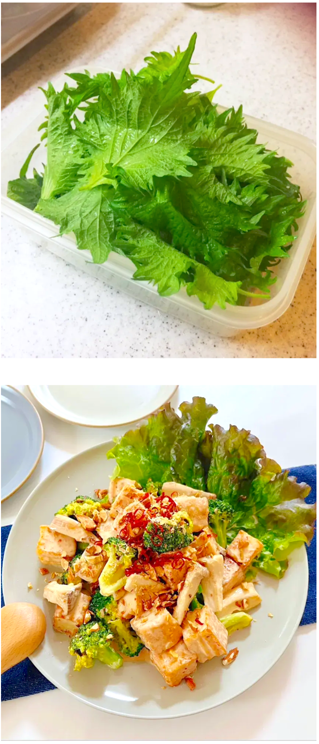 【クックパッド】“新時代の夏ごはん”の実態を発表。『夏の三重苦を乗り切る5つの食卓術』提案