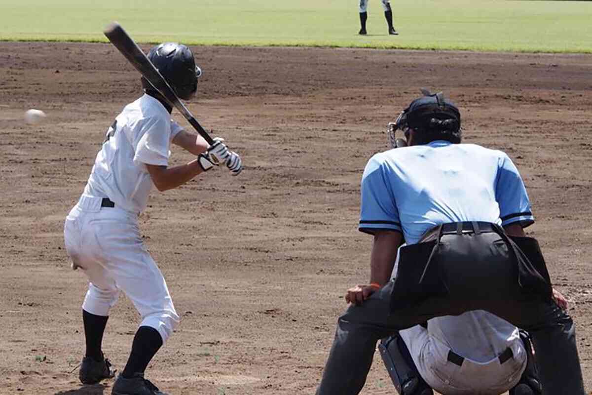 「今年の代表校、うちの甥っ子の学校なのよ」　地方では“高校野球が生活の一部”の実態を佐賀県に移住したネット編集者が明かす（全文） | デイリー新潮