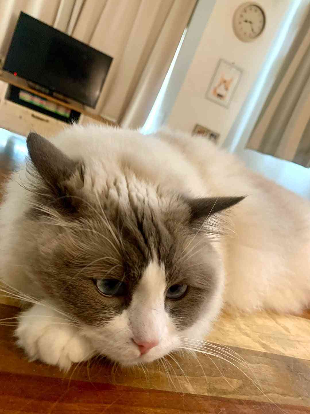 『“動揺しています…”』 | 遠野なぎこオフィシャルブログ「Nagiko Tono Official  Blog」Powered by Ameba