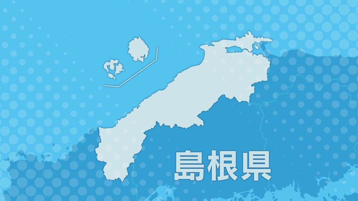 公衆トイレの個室の隙間からスマホ　20代女性を盗撮しようとした疑いで29歳の男を逮捕　「トイレの前で男が待ち伏せしていて怖くてトイレの個室に閉じこもっていたら上からスマホを向けられた」と通報　島根県　　（2025年7月4日掲載）｜日本海テレビNEWS NNN