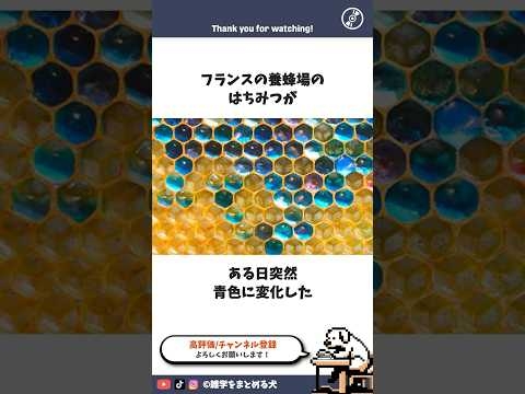 青色に変化したハチミツ #雑学