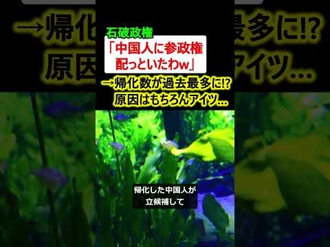 石破政権「中国人に参政権を配っといたわw」→帰化数が過去最多へ…