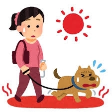 この酷暑で昼間にアスファルトを散歩させる飼い主について