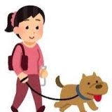 政治に興味ある人を馬鹿にする人の方が遥かに馬鹿だと思う。基本的人権を消す改憲... | ガールズちゃんねる - Girls Channel -
