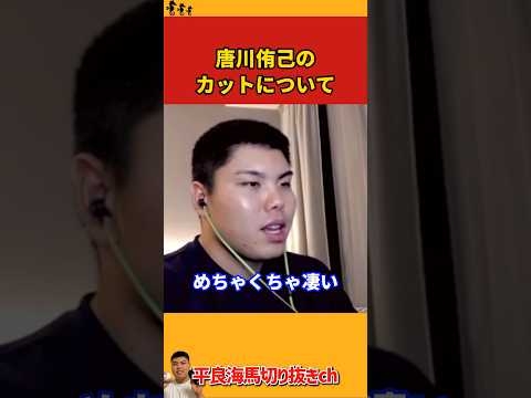 【平良海馬】ロッテ唐川侑己のカットボールについて【2022/9/23】