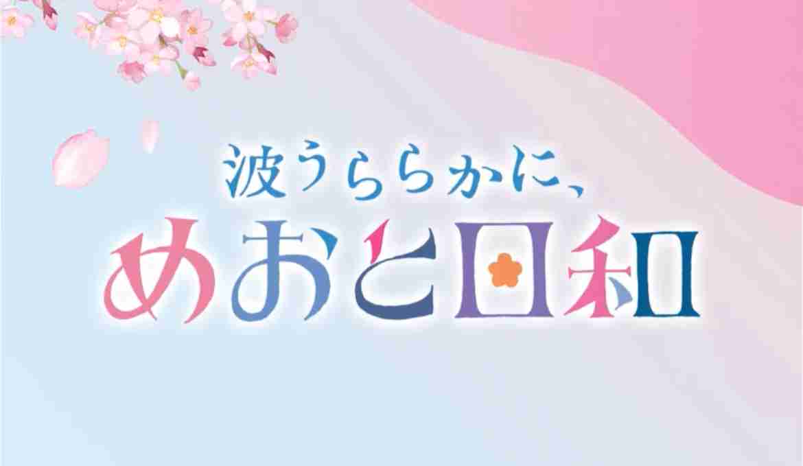 ドラマ「波うららかに、めおと日和」が好き【アンチ厳禁】