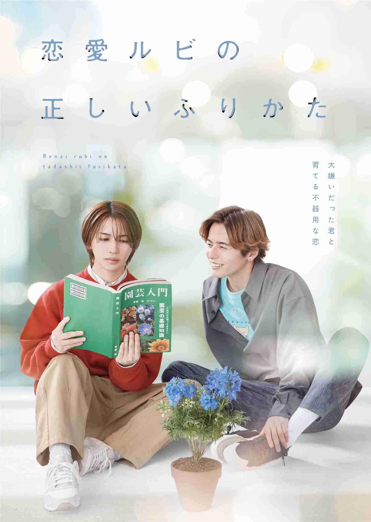 【ドラマ】「恋愛ルビの正しいふりかた」を語ろう