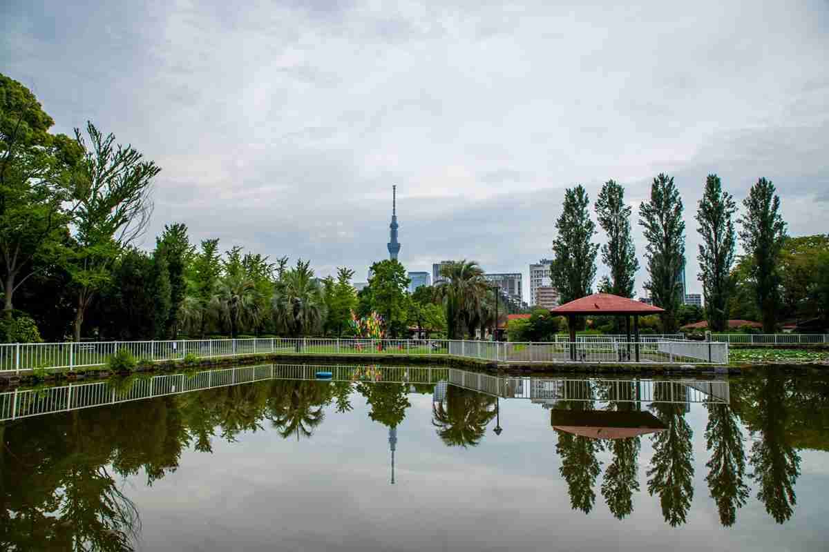 《中国の一部では夏の味覚の高級食材》夜の公園で遭遇したセミの幼虫を大量採取する人たち　条例違反だと伝えると「日本語わからない」「ここは公園、みんなの物」