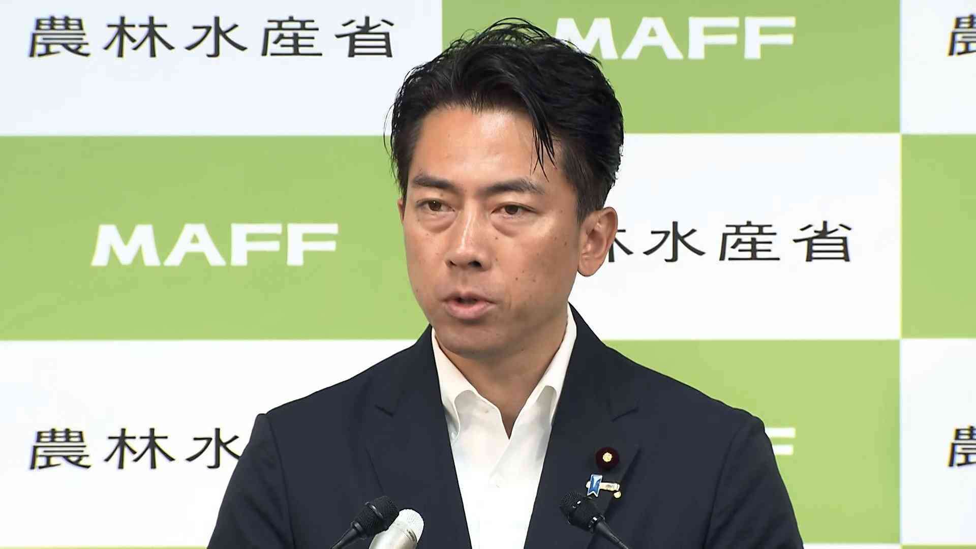 「今年のコメ収穫量が前年比56万トン増の見通し」小泉農水相が発表　価格高騰など受け生産者の増産意欲が影響か