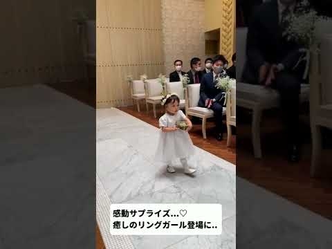 癒しのリングガール登場?＃shorts