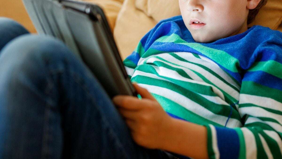 ｢ADHDグレー｣と診断された子どもたちが高確率であてはまる幼少期からの｢危険な習慣｣ 今からでも｢脳の機能｣を育むことは可能 (2ページ目) | PRESIDENT Online（プレジデントオンライン）